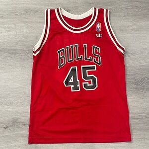 Champion Bulls Jersey with Jordan 45